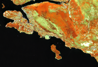 FORECOMON 2026: Integrating Ground- and Remote Sensing-based Forest Monitoring for Resilient Forests