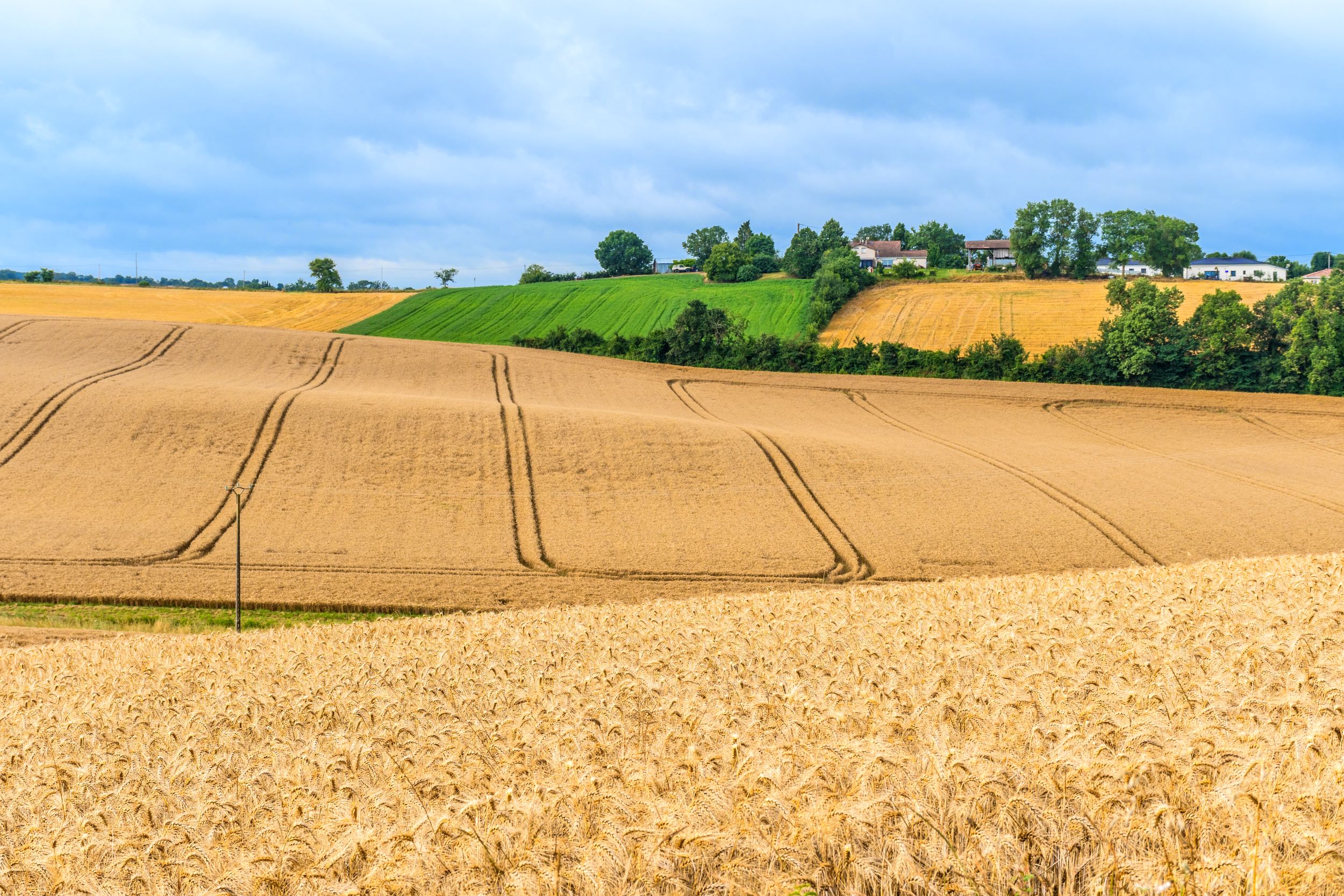 eLTER Releases First Policy Brief on Scaling Carbon Removal for Climate Neutrality