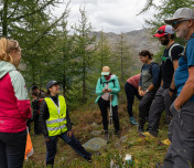 50 Years of Stillberg - Switzerland: From Avalanche Protection to Climate Research