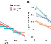 Noctuoid moths as bioindicators in coastal dune ecosystems
