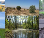 IRISCC third General Call offers Sponsored Physical Access to almost 100 Facilities in Europe, among them 13 eLTER Sites and eLTSER Platforms